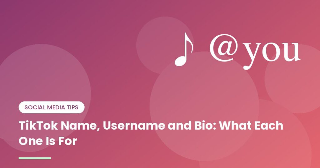 TikTok Name, Username and Bio: What Each One Is For - illustration